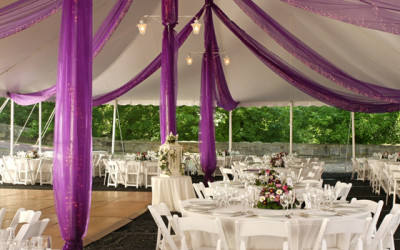 LOS VIERNES DE WEDDING PLANNER COACHING: LAS CARPAS