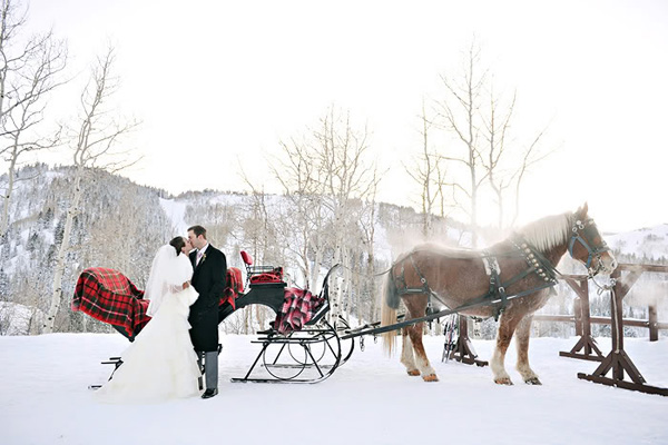 sleigh