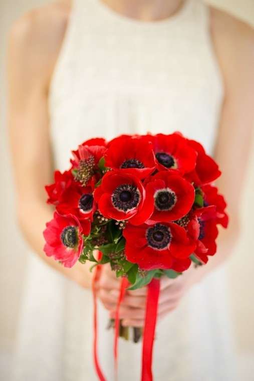 amapolas