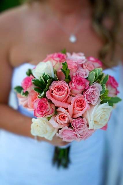 rosas